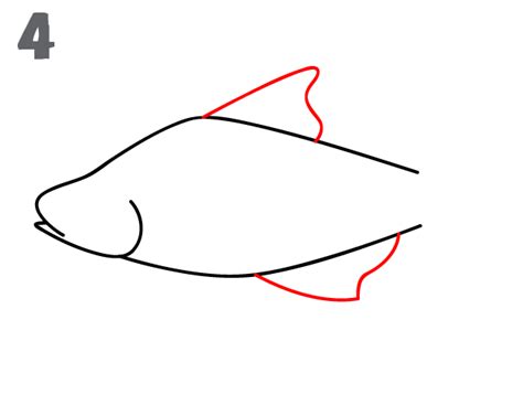 Step 4 Draw The Upper And Lower Fins Fish Drawings Drawing Lessons