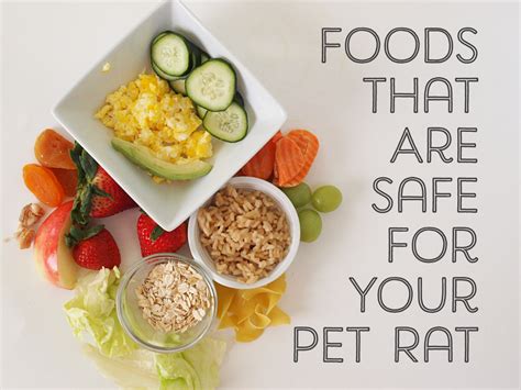 Some pet rats also like rice and noodles. A List of Safe and Dangerous Foods for Your Pet Rat ...