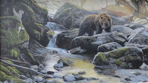 Terry Isaac Wildlife And Nature Artist