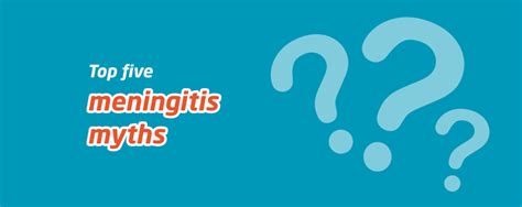 Top 5 Myths About Meningitis Meningitis Now
