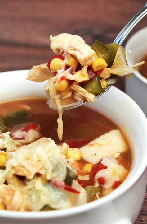 The others items on list are for garnish after this bad boy is cooked. Crock Pot Chicken Tortilla Soup - The Newlyweds Cookbook