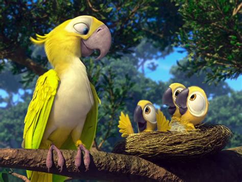 Golden Conure Rio Movie Conure Parrot