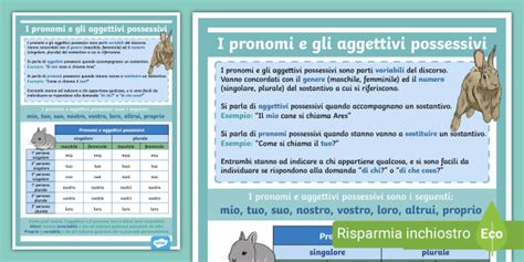 Scheda Su Aggettivi E Pronomi Possessivi Scuola Primaria