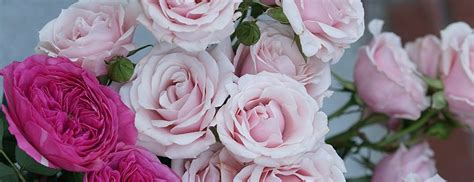 It has a unique identity of its own, with extravagant mansions and excellent shopping. Martina's Flowers and Gifts | Florist of Augusta & Evans, GA