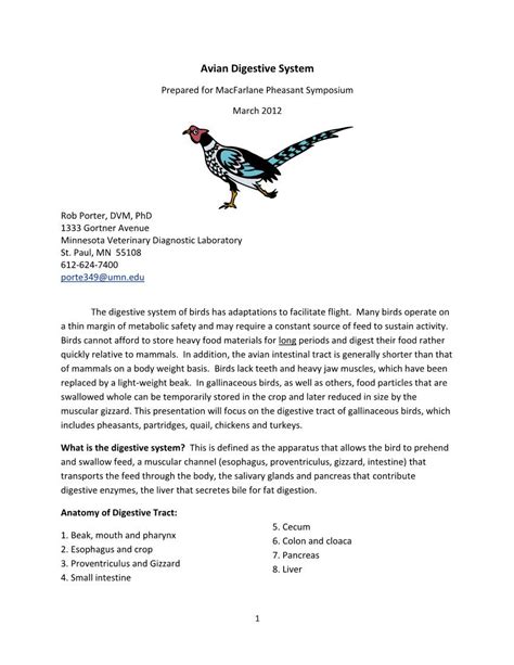 Avian Digestive System Docslib