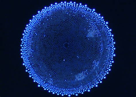 The Microscopic Beauty Of A Water Splatter Science And Technology