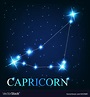 The capricorn zodiac sign of the beautiful bright Vector Image