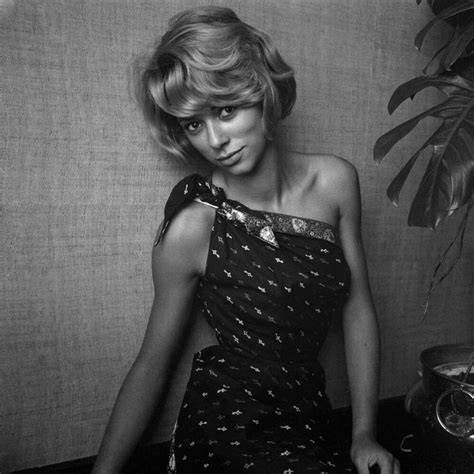 Mireille Darc Photo et Tableau Editions Limitées Achat Vente