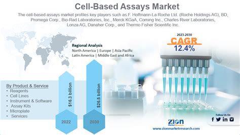 Global Cell Based Assays Market Size To Hit Bn By