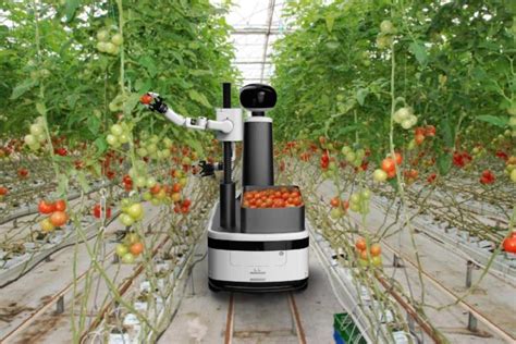 Robots Enter The Greenhouse Cloudminds Picking Robots Help Unmanned