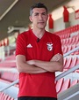 [OC] Manager Discussion #4: Bruno Lage (SL Benfica) : soccer