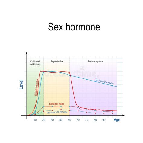 Sex Hormones And Ageing Levels Of Testosterone For Males And Females And Estradiol For Men And