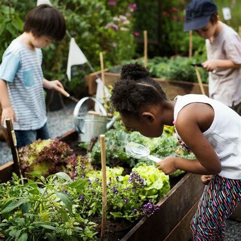 How To Get Kids Gardening Momtrends