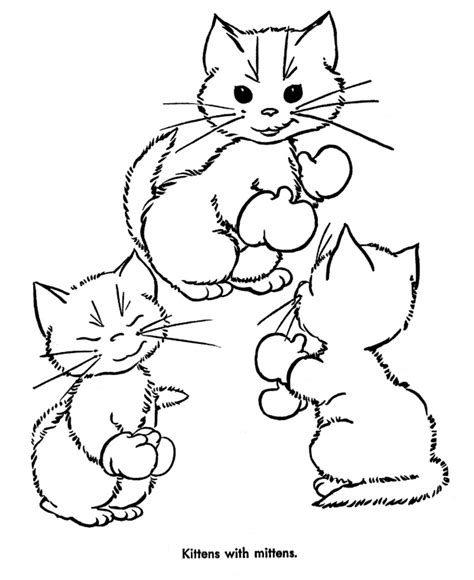Almost all (but not all) kittens of calico (black, white and orange) or tortishell (black and orange) color are females. Lovely Kitten Coloring Pages