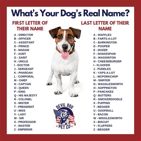 How To Get Your Dog To Know Their Name