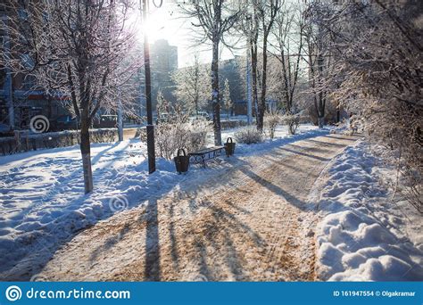 Snow Covered Alley In The Park On A Frosty Winter Day Stock Photo
