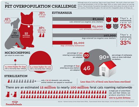 Cat Population By Country at Monica Hardy blog