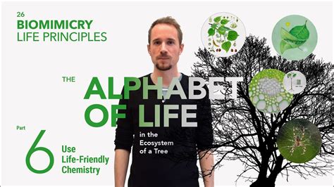 Biomimicry Life Principles Part 6 Wxyz Youtube