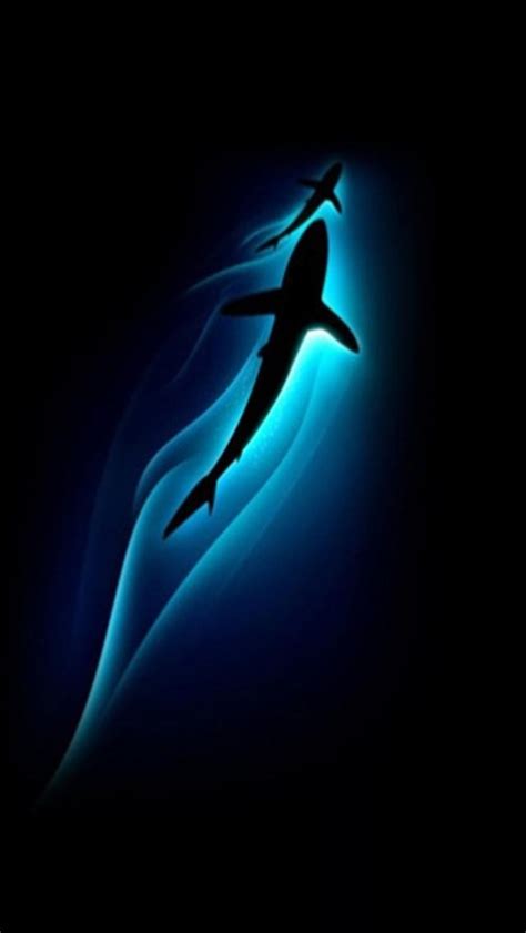 Free, full hd and high quality wallpapers and backgrounds. 46+ iPhone Shark Wallpapers on WallpaperSafari