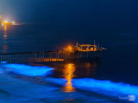 Bioluminescence At Scripps Pier La Jolla By Brian Mcclean Turningart