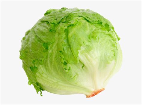 Head Of Lettuce Png Banner Library Stock Image Of Lettuce Transparent