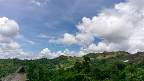 Beautiful View White Fluffy Clouds On Vivid Blue Sky Above Greenery