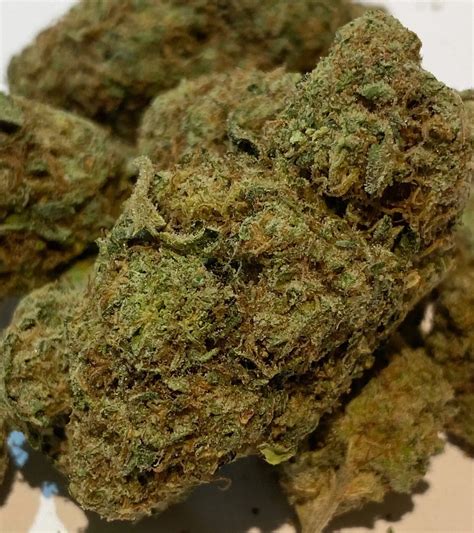 Pink Cookies Strain Review