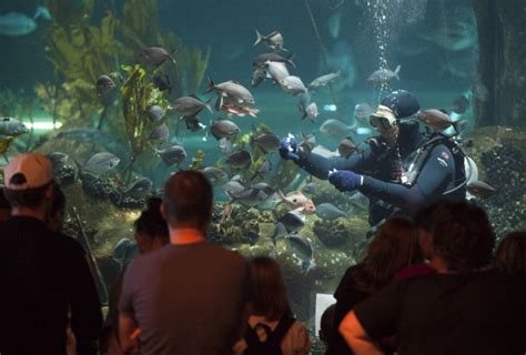 National Aquarium Of New Zealand Napier Isite Visitor Centre