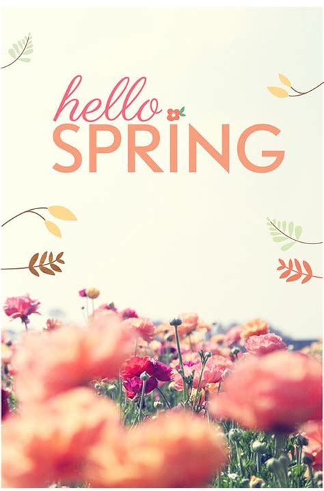 They are sunshine, food and medicine for the soul. Field Of Flowers - Hello Spring Quote Pictures, Photos ...