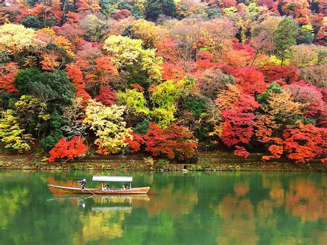 Why Fall In Japan Is Better Than The Spring