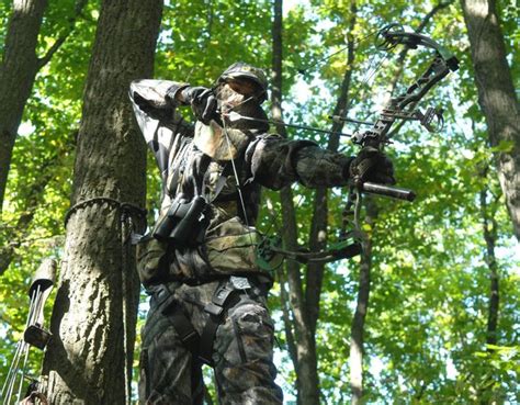 Maryland Changing Deer Limits Sports