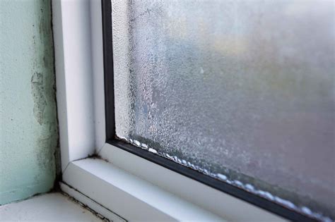 Check spelling or type a new query. Mould and condensation | Derwent Living