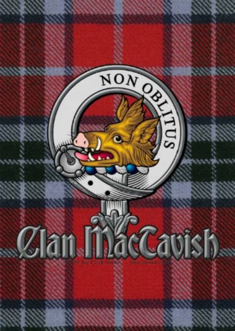 The Clan Maccaush Tartan Is Shown In This Image