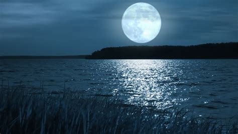 Full Moon Night Landscape With Stock Footage Video 100 Royalty Free