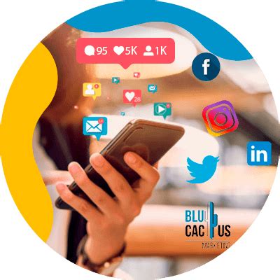 Cu Les Son Los Kpis En Las Redes Sociales Blucactus Espa A