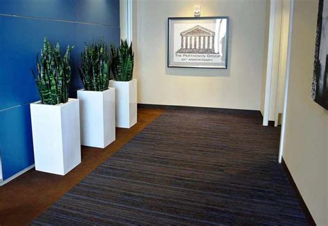 Interior Office Plant Groupings Within Your Office Workplace Watertown