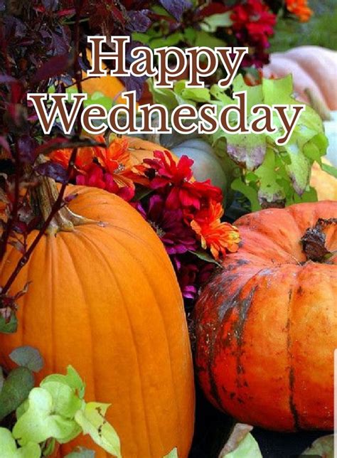 There Are Many Pumpkins And Flowers In The Garden With Happy Wednesday