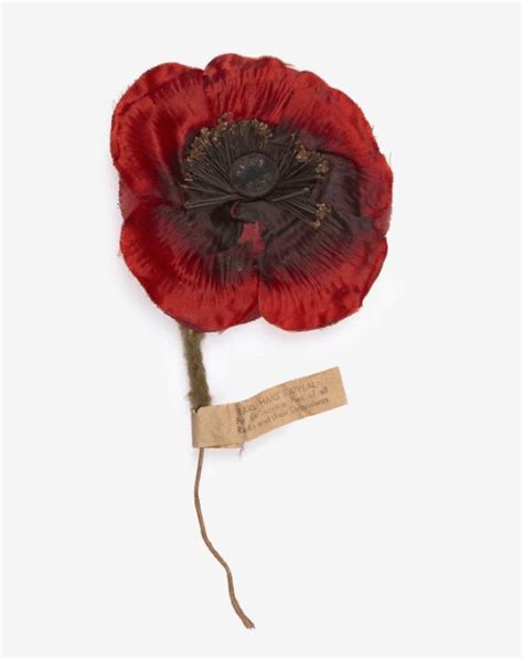 Remembrance Poppy Keep The Memory Alive Elna Smith