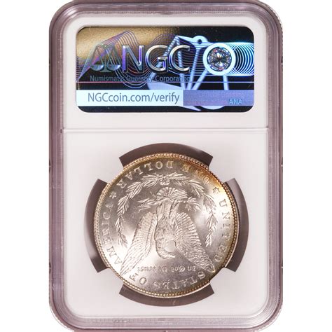 Certified Morgan Silver Dollar 1882 Ms63 Ngc Light Toning Golden