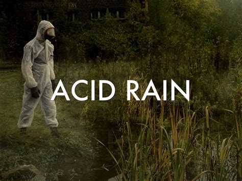 Acid Rain Research