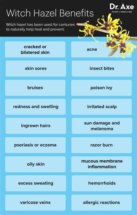 Ahead, check out how to incorporate witch hazel in your beauty and cleanse oily skin. How to Use Witch Hazel to Clear Up Your Skin Fast - Dr. Axe