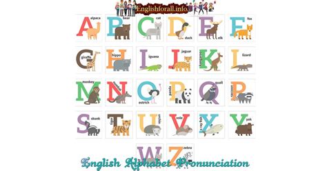 Learn upper and lower case letters of the english alphabet, and listen to how they are pronounced. English Alphabet Pronunciation