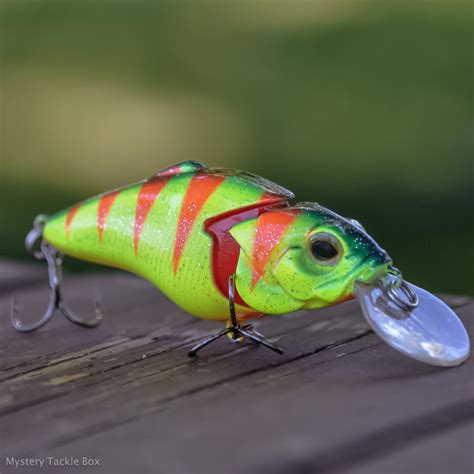 Everything You Ever Wanted To Know About Crankbaits The Fishidy Blog