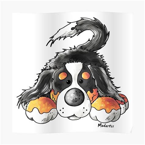 Bernese Mountain Dog Drawing Free Download On Clipartmag