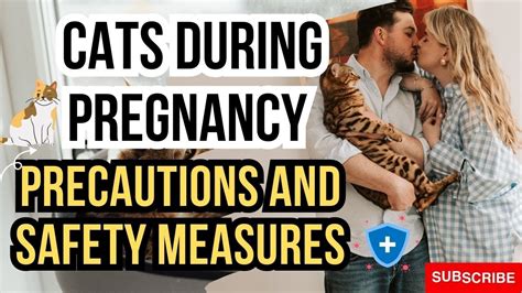 Cats During Pregnancyprecautions And Safety Measures Youtube