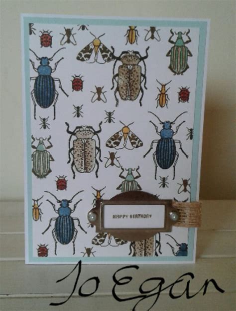Jo Egan Made Using Stampin Up Beetles And Bugs And Sentiment From Lots