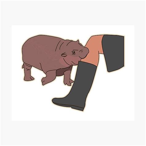 Hippo Biting Leg Meme Photographic Print For Sale By Rzera Redbubble