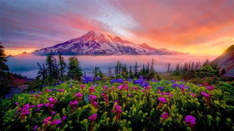 Mount Rainier 4k Wallpapers Top Free Mount Rainier 4k Backgrounds