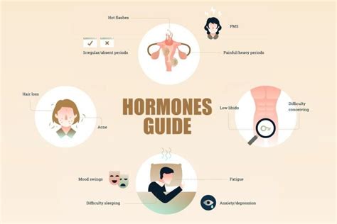 The Complete Hormones Guide Infographic Fitneass