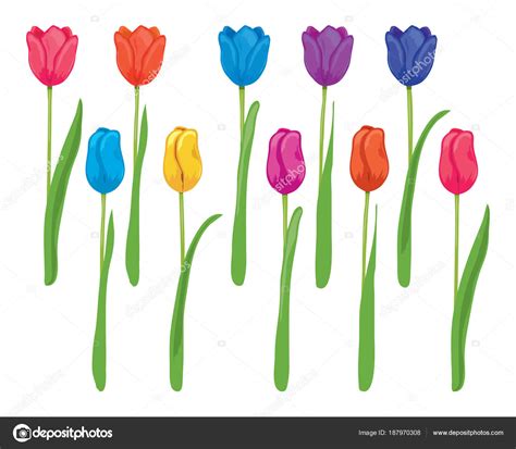 Imagenes De Tulipanes Para Dibujar A Color Imágenes De Flores